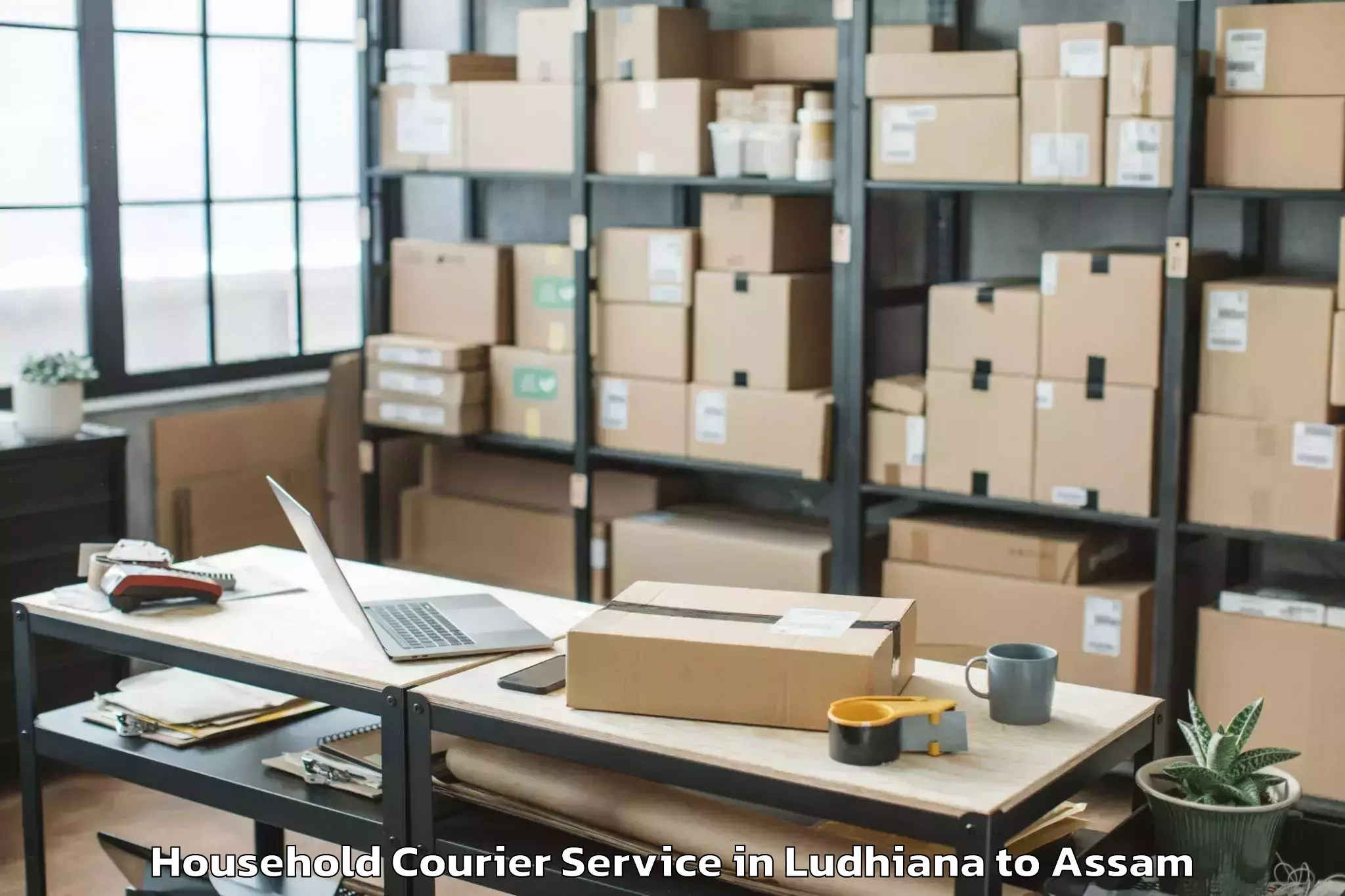 Quality Ludhiana to Pachim Nalbari Household Courier